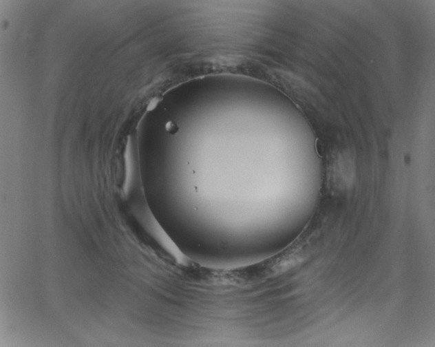 X0000068770608200604281240