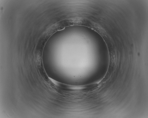 X0000068770609200604281240