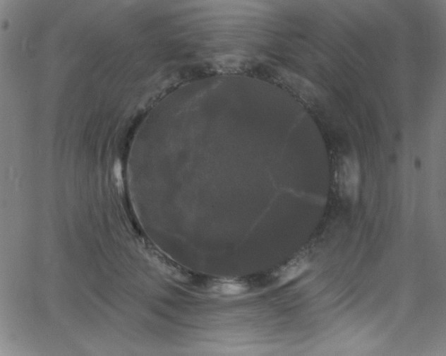 X0000068770610200604281240