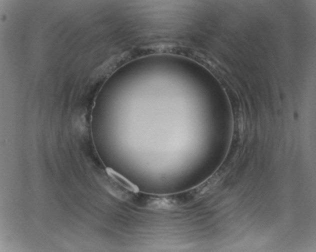 X0000068770611200604281240