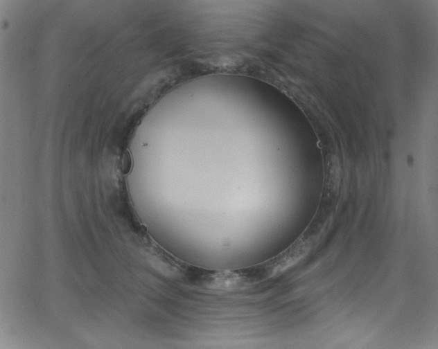 X0000068770612200604281240