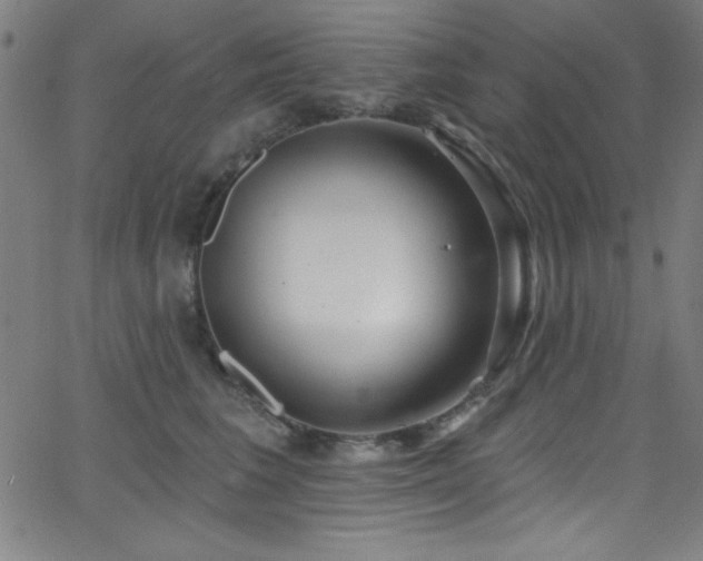 X0000068770613200604281240