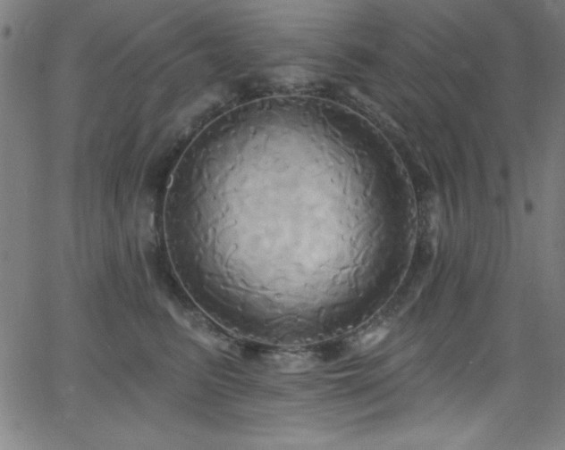 X0000068770615200604281240