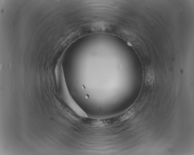 X0000068770616200604281240