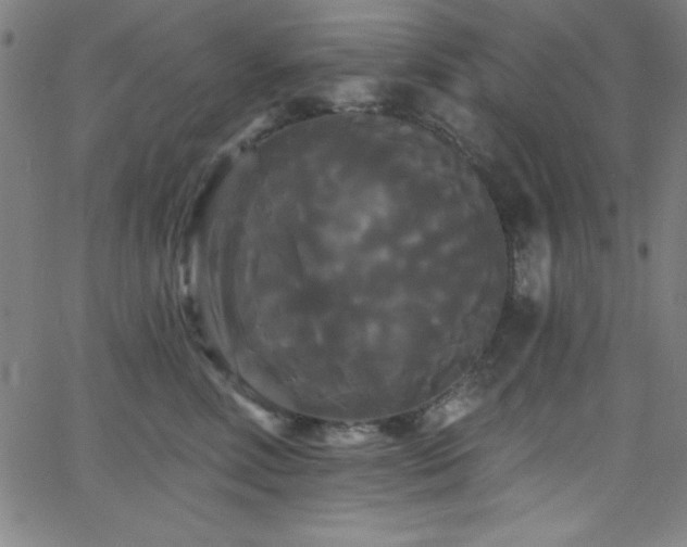 X0000068770618200604281240