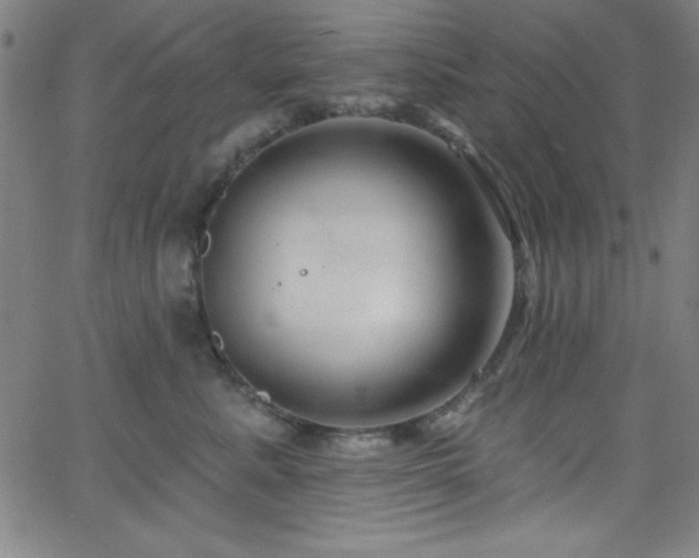 X0000068770619200604281240