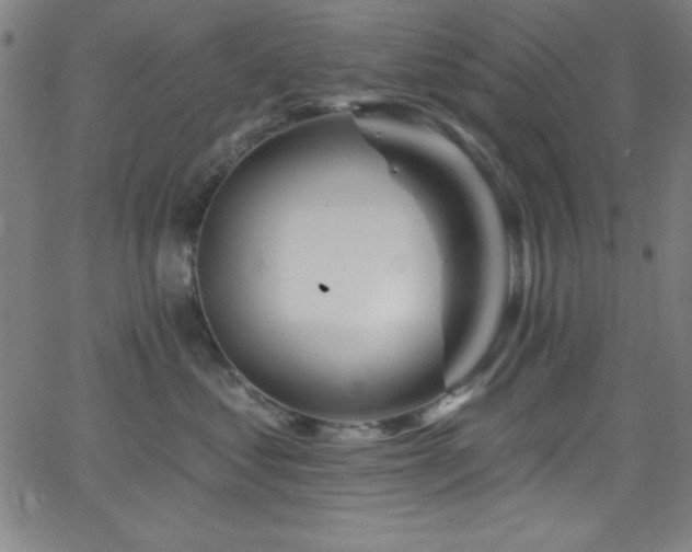 X0000068770621200604281240