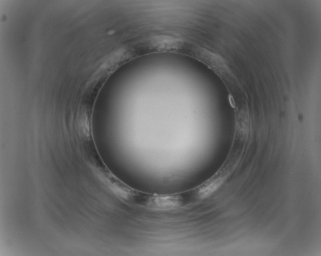 X0000068770622200604281240