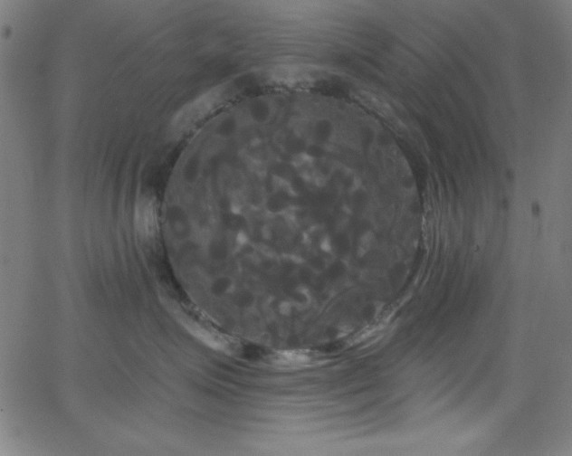 X0000068770623200604281240