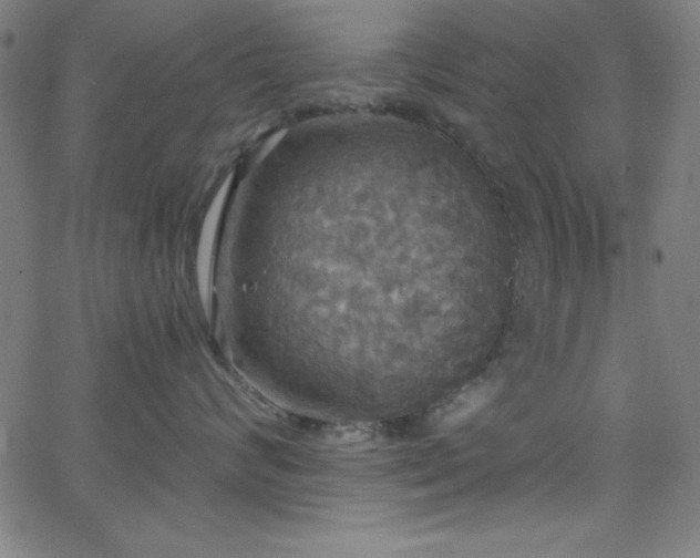 X0000068770624200604281240