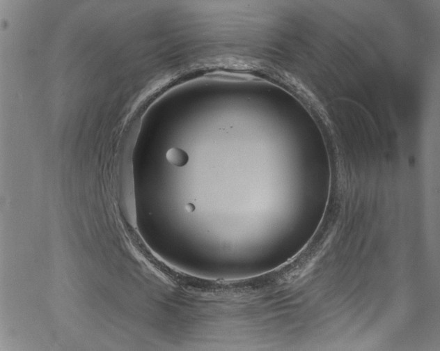 X0000068770625200604281239