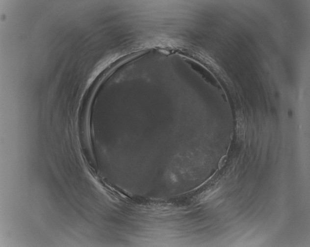 X0000068770626200604281239