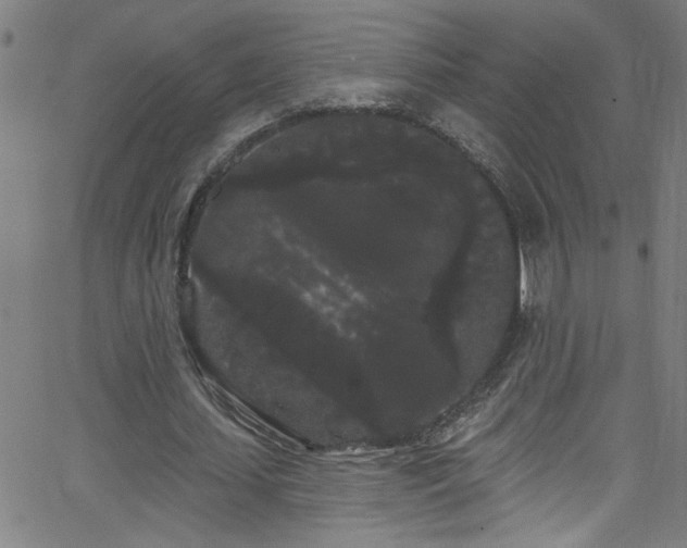 X0000068770627200604281239