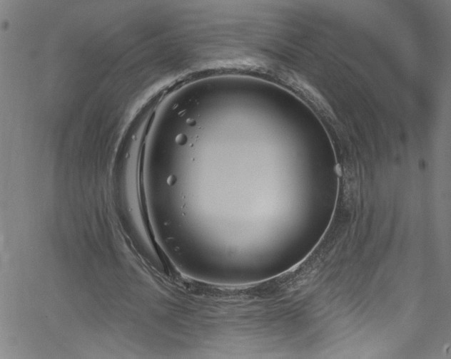 X0000068770628200604281239