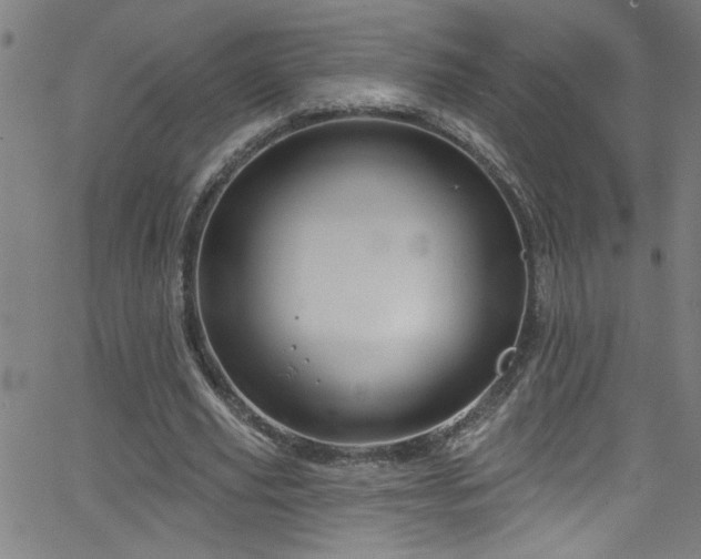 X0000068770629200604281239