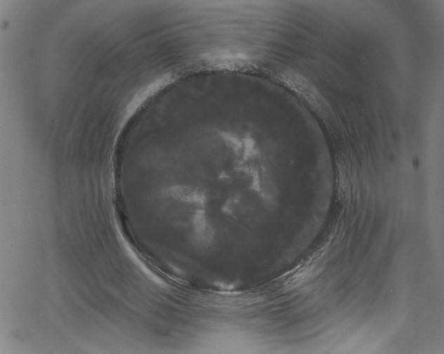 X0000068770630200604281239