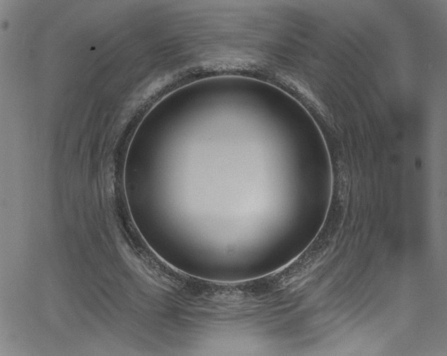 X0000068770631200604281239