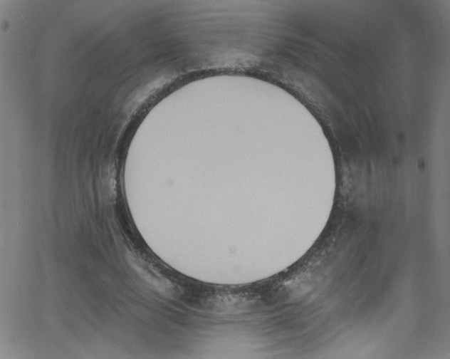 X0000068770632200604281239