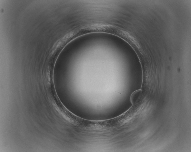 X0000068770633200604281239