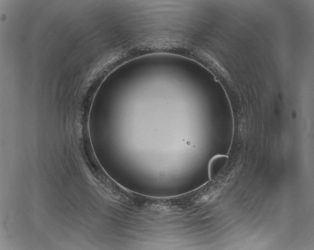 X0000068770635200604281239