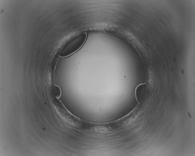 X0000068770636200604281239