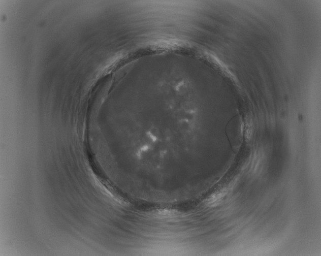 X0000068770637200604281239