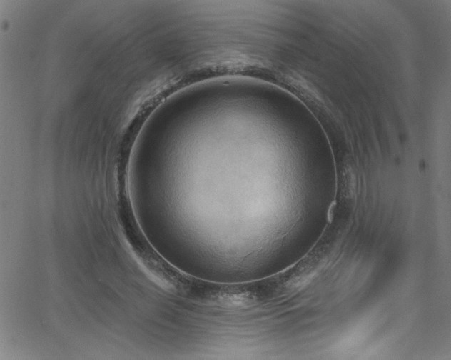 X0000068770638200604281239