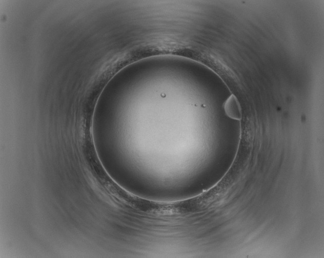 X0000068770639200604281239