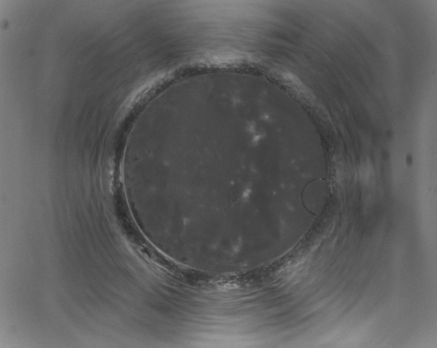 X0000068770640200604281239