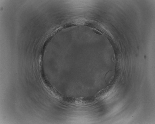 X0000068770641200604281239