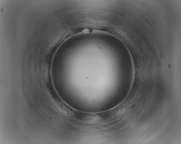 X0000068770642200604281239