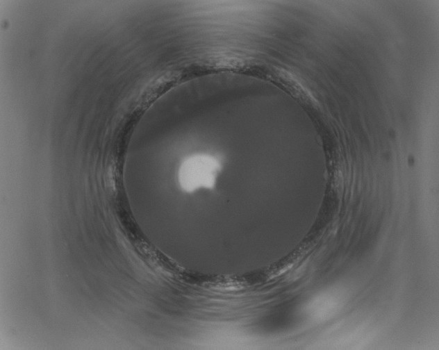 X0000068770643200604281239