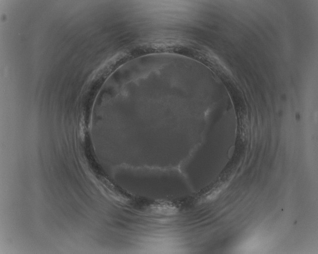 X0000068770644200604281239