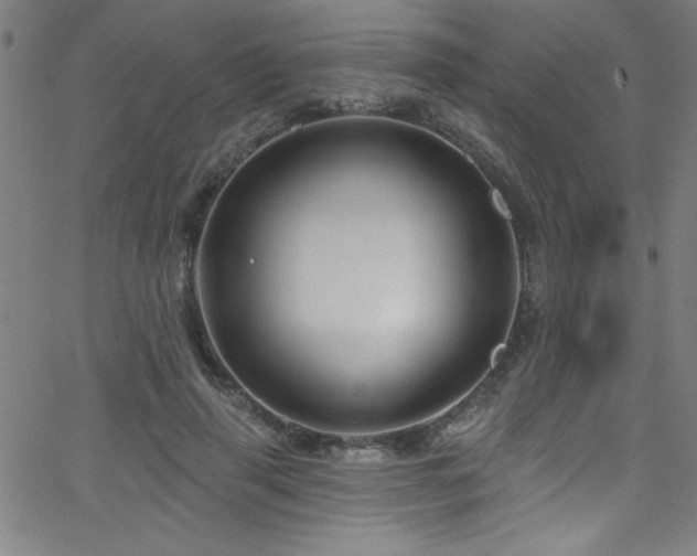 X0000068770645200604281239