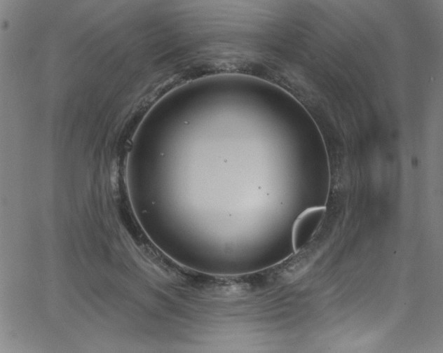 X0000068770646200604281239