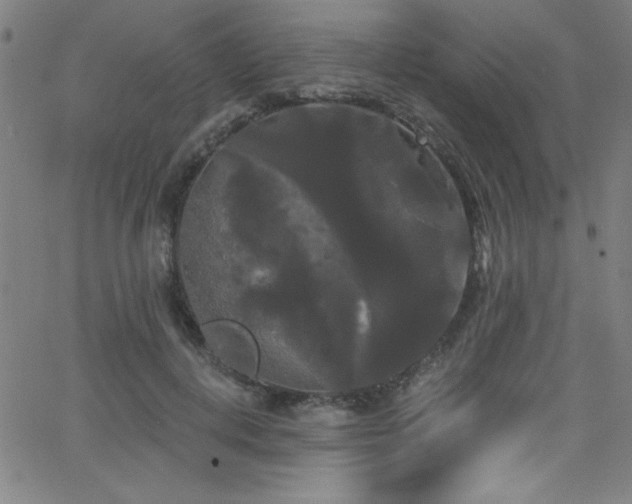 X0000068770648200604281239