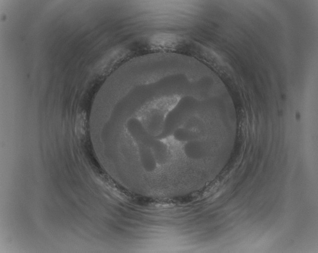 X0000068770649200604281239