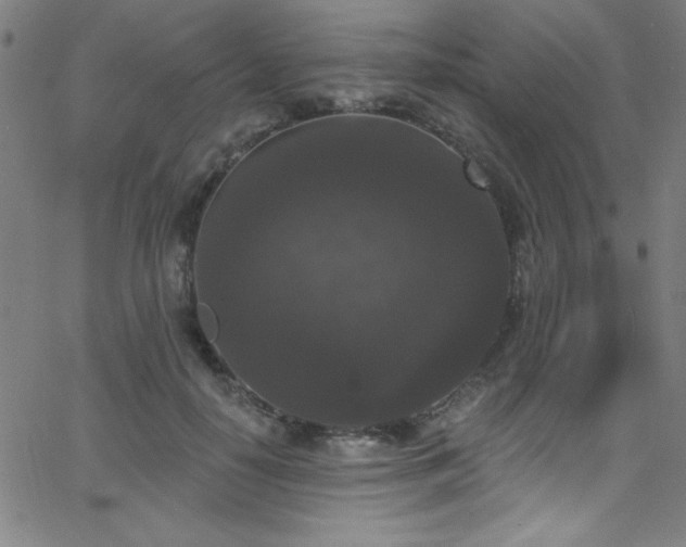 X0000068770650200604281239