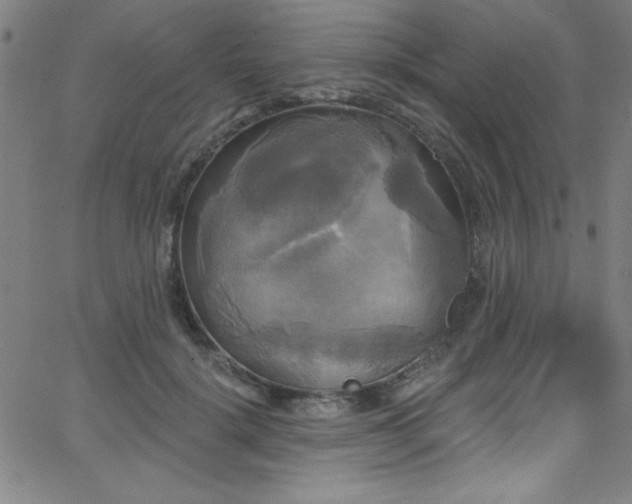 X0000068770652200604281239