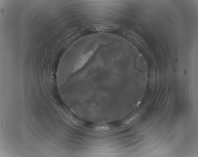 X0000068770653200604281239