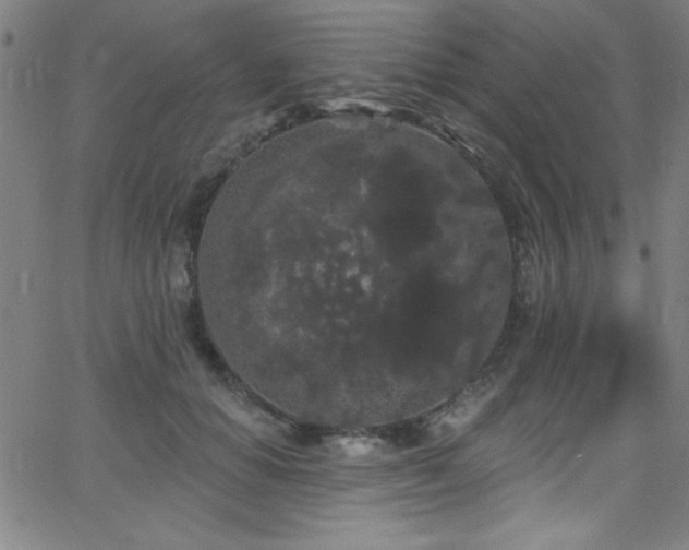 X0000068770654200604281240