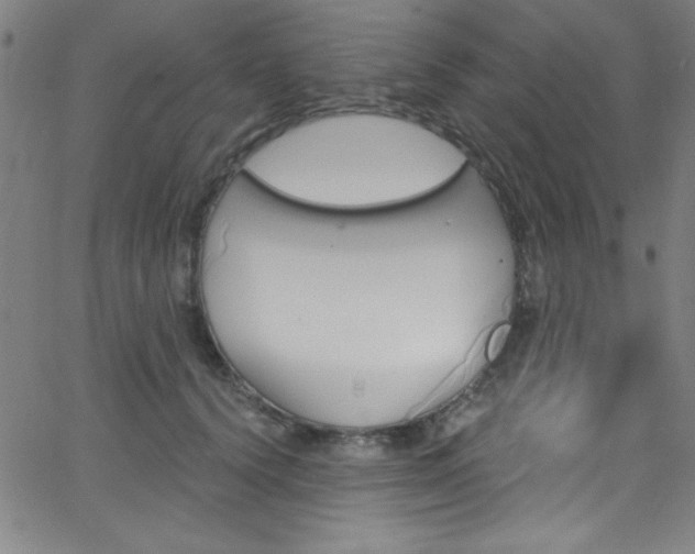 X0000068770656200604281240