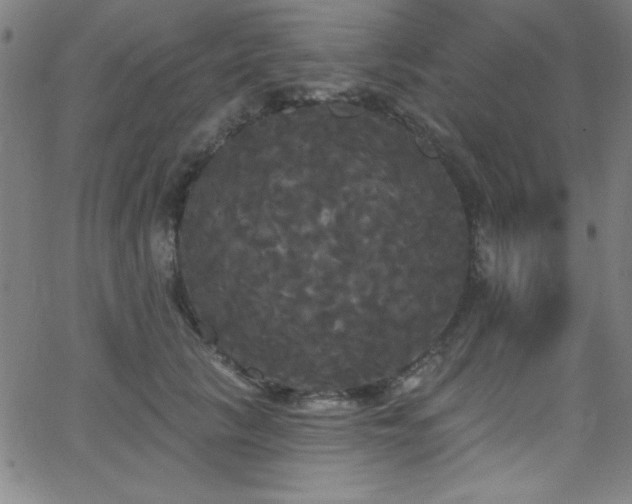 X0000068770657200604281240