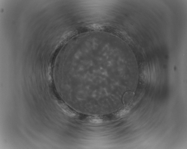 X0000068770658200604281240