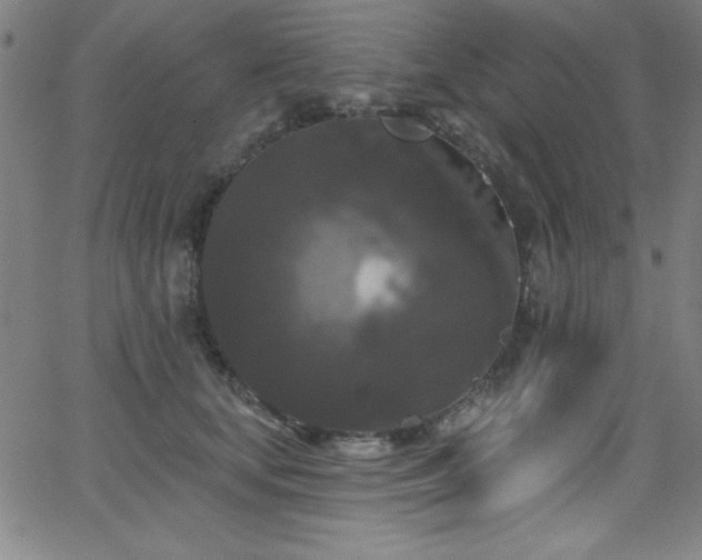 X0000068770659200604281240