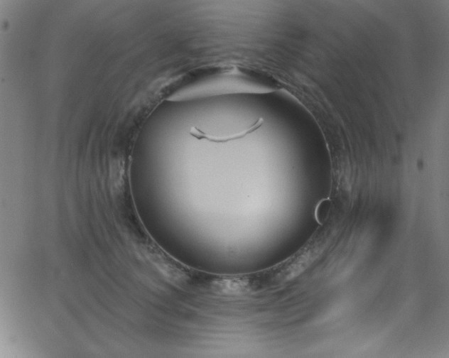 X0000068770660200604281240