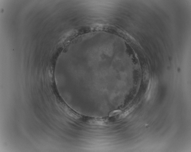 X0000068770661200604281240