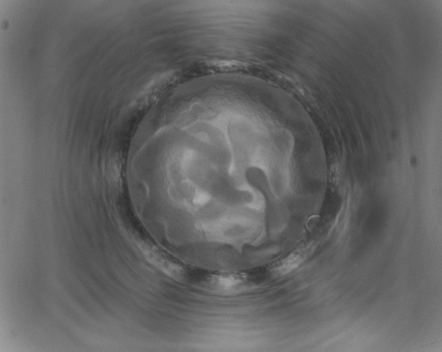 X0000068770662200604281240