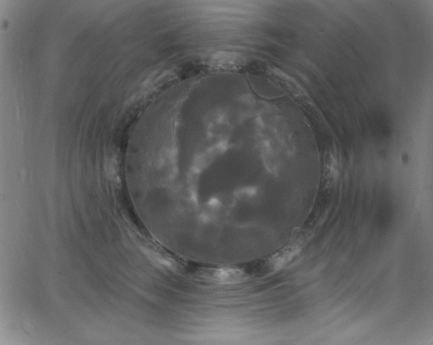 X0000068770663200604281240