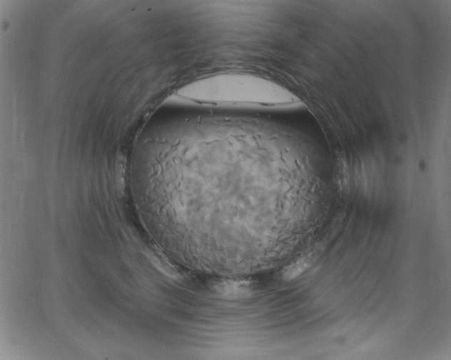 X0000068770664200604281240